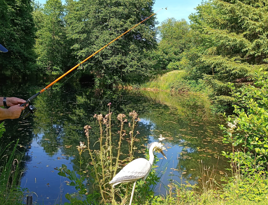 Canne à pêche au bord de l'étang du gîte de Liresse