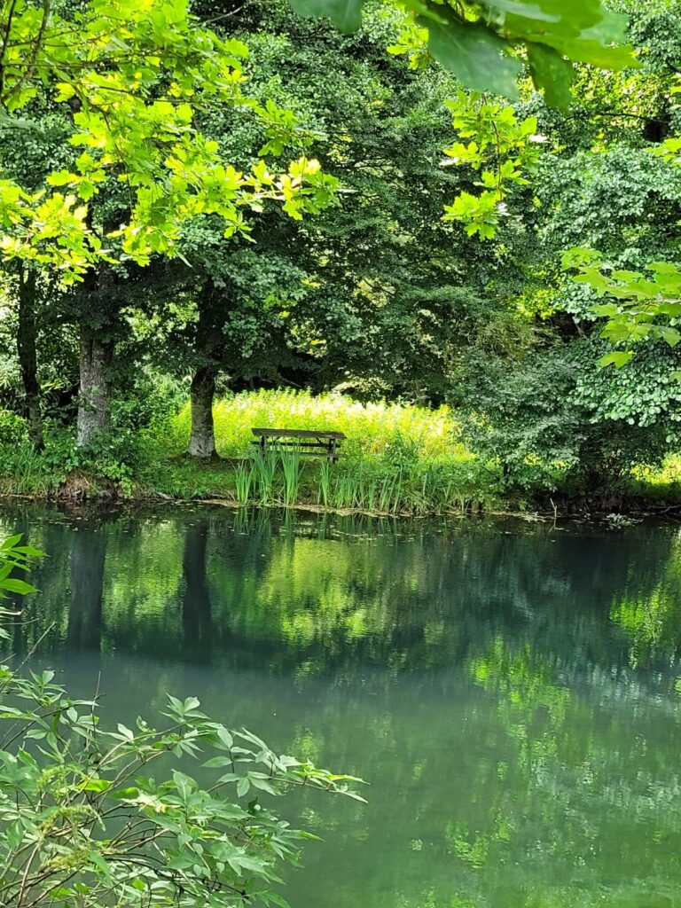 L'étang du gîte de Liresse avec un banc au bord de l'eau